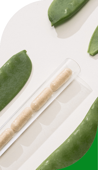 Nahaufnahme von Kapseln in einem Kunststoffbehälter mit frischen grünen Schoten drumherum