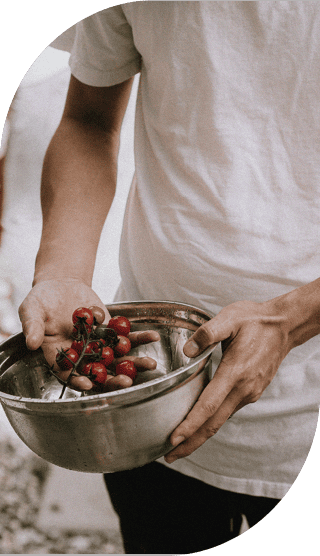 Mann hält frisch gewaschenen Kirschtomaten in einer Edelstahlschale