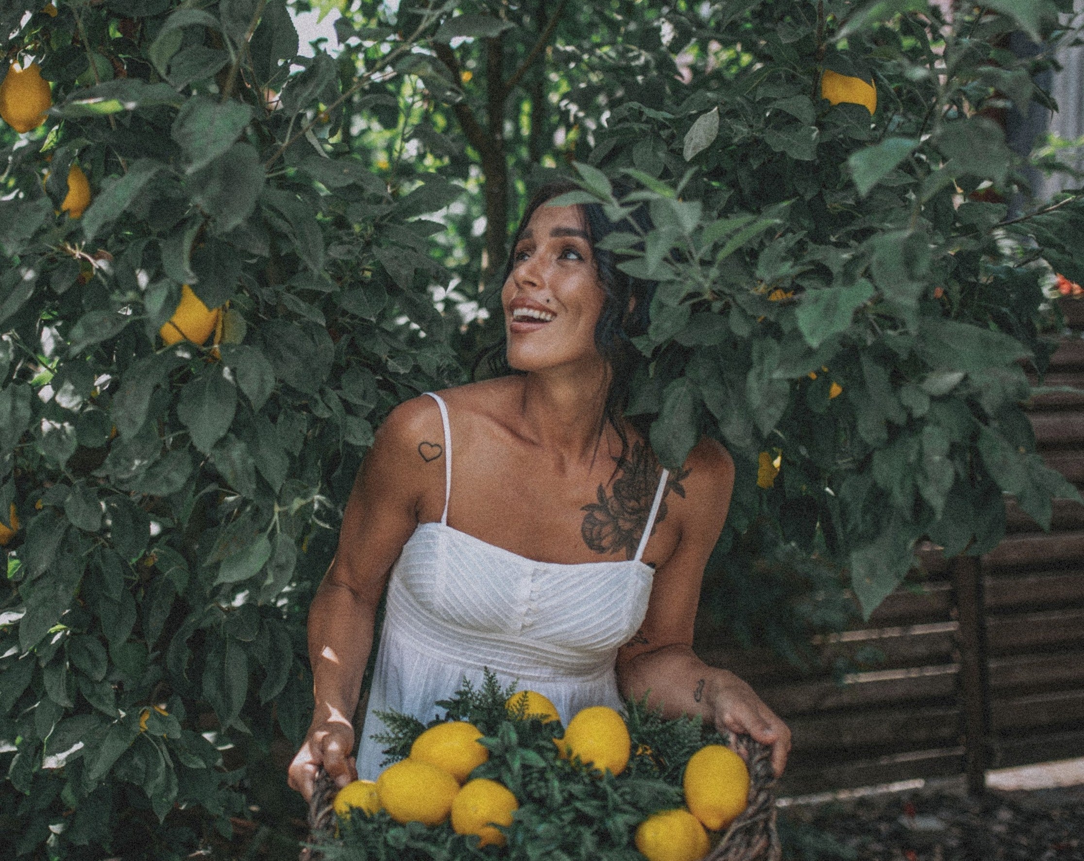 Vitamin C und antioxidativer Schutz: Warum es für die Immunzellen wichtig ist