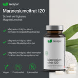 Magnesiumcitrat 120