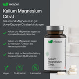 Kalium Magnesium Citrat