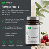 Ferroverde® 14