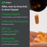 CoQ10 120 mg