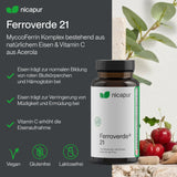 Ferroverde® 21
