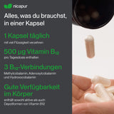 Vitamin B12 500