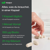 Haare & Nägel