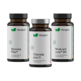 Darmgesundheit Bundle